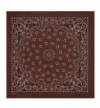 Load image into Gallery viewer, The Great Silk Bandana