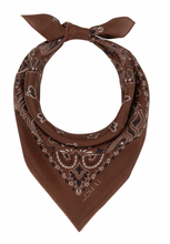 Load image into Gallery viewer, The Great Silk Bandana