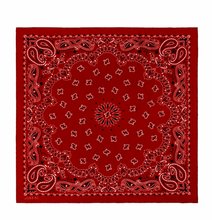Load image into Gallery viewer, The Great Silk Bandana