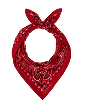 Load image into Gallery viewer, The Great Silk Bandana