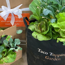 Load image into Gallery viewer, Gardenuity Taco Toppings Garden Kit